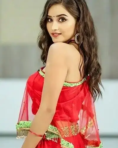 Call Girls Service Salur